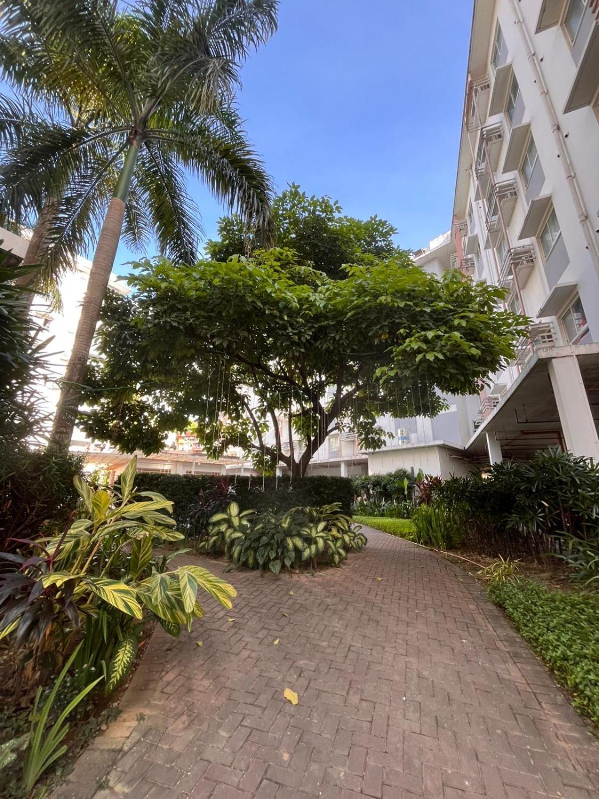 Aparthotel Summum Bonum Bliss - Lahug Cebu Exteriér fotografie